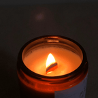 Rain in the Forest Soy Candle – Wood Wick Essential Oil Blend with Patchouli & Cedarwood (8oz)