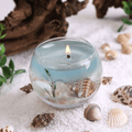 Ocean Life Jelly Candle – Realistic Beach Scene with Seashells & Starfish Decor – Ideal for Gifts & Atmosphere