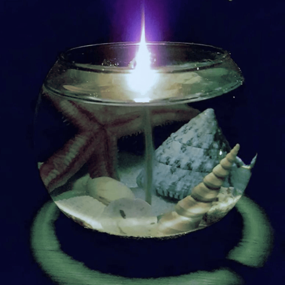 The Tropical Paradise Fishbowl | 14oz Long-Lasting Seascape Gel Candle with Real Shells & Starfish