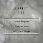 Forest Fog | Earthy Woodland Soy Candle with Moss, Cedar & Musk