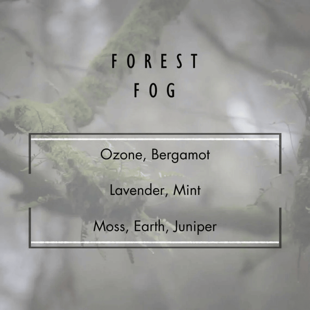 Forest Fog | Earthy Woodland Soy Candle with Moss, Cedar & Musk