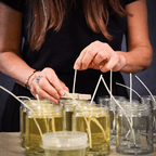 In the Woods | Autumn Woods & Orchard Scented Soy Candle with Botanical Toppers
