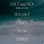 Salt & Sea | Sophisticated Coastal Soy Candle - Sea Salt, Citrus & Amber (11oz)